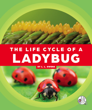 Library Binding The Life Cycle of a Ladybug Book