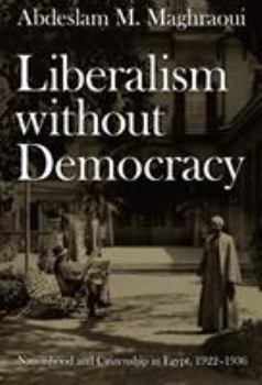 Liberalism without Democracy: Nationhood and Citizenship in Egypt, 1922-1936 (Politics, History, and Culture) - Book  of the Politics, History, and Culture