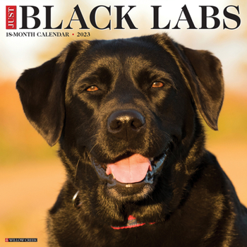 Calendar Just Black Labs 2023 Wall Calendar Book