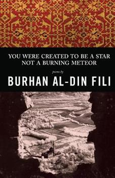Paperback You Were Created to Be a Star Not a Burning Meteor: Poems Book