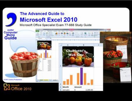Spiral-bound Advanced Guide to Microsoft Excel 2010 Book