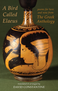 Paperback A Bird Called Elaeus: Poems for Here and Now from the Greek Anthology Book