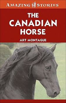 Paperback The Canadian Horse: The Fascinating Story of Canada's National Breed Book