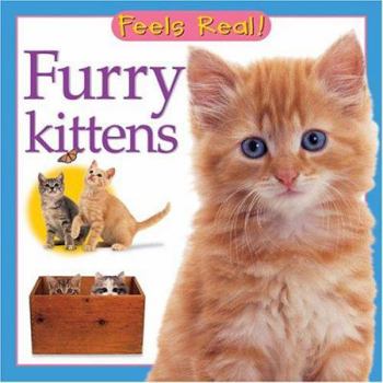 Board book Furry Kittens Book