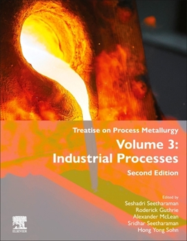 Hardcover Treatise on Process Metallurgy: Volume 3: Industrial Processes Book