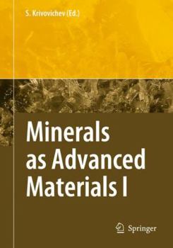 Paperback Minerals as Advanced Materials I Book