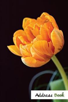 Address Book.: (Flower Edition Vol. E80) Orange Flower Design. Glossy Cover, Large Print, Font, 6" x 9" For Contacts, Addresses, Phon