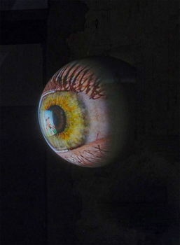 Paperback Tony Oursler: Specular Book