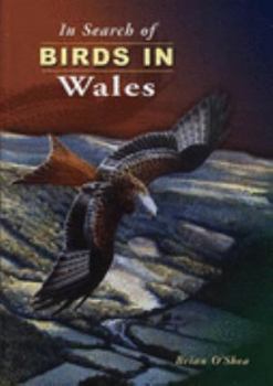 Hardcover In Search of Birds in Wales Book