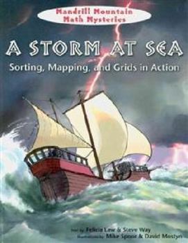 Paperback A Storm at Sea Book