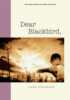 Paperback Dear Blackbird, Book
