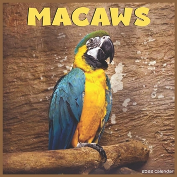 Macaws 2022 Calendar: Official Macaw Bird 2022 Calendar 16 Months