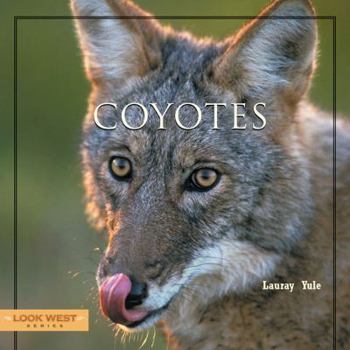 Hardcover Coyotes Book