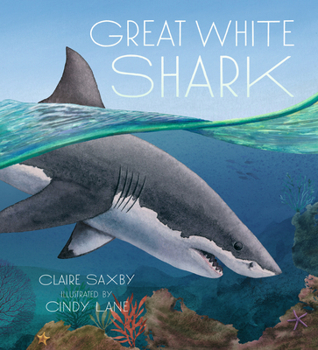 Hardcover Great White Shark Book