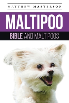 Maltipoo Bible And Maltipoos: Your Perfect Maltipoo Guide Maltipoo, Maltipoos, Maltipoo Puppies, Maltipoo Dogs, Maltipoo Breeders, Maltipoo Care, Maltipoo Training, Health, Behavior, Grooming, Breedin