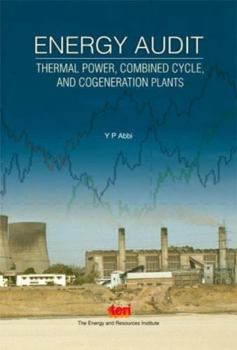 Energy Audit: Thermal Power, Combined Cycle, and Cogeneration Plants