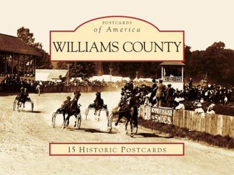 Ring-bound Williams County Book