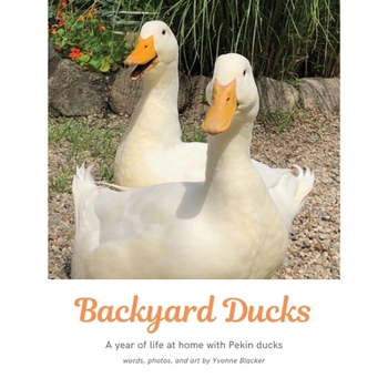 Backyard Ducks: A year of life at home with Pekin ducks