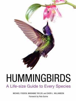 Hardcover Hummingbirds: A Life-Size Guide to Every Species Book
