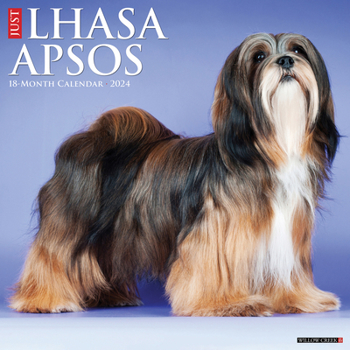 Calendar Just Lhasa Apsos 2024 12 X 12 Wall Calendar Book