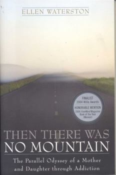 Paperback Then There Was No Mountain: A Parallel Odyssey of a Mother and Daughter Through Addiction Book