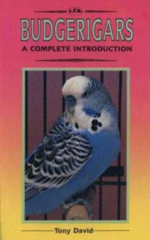 Paperback Complete Introduction to Budgerigars Book