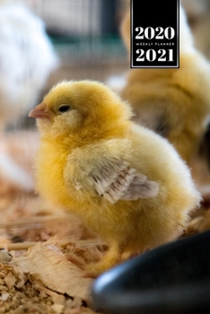 Chicken Hen Chick Farming Farmer Week Planner Weekly Organizer Calendar 2020 / 2021 - Tired Chick: Cute Wildlife Animal Pet Bullet Journal Notebook Diary in 6” x 9” Inch Pocket Size