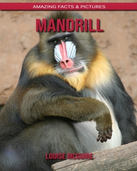 Mandrill: Amazing Facts & Pictures