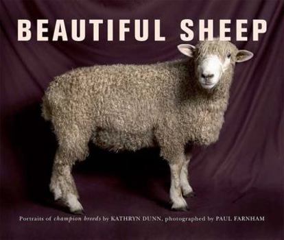 Paperback Beautiful Sheep: Portraits of Champion Breeds Book