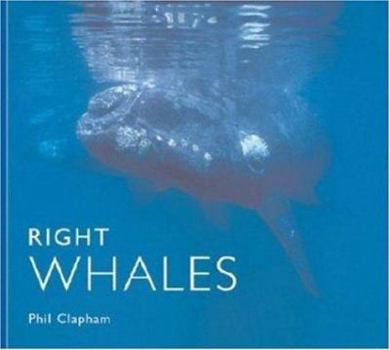 Paperback Right Whales Book