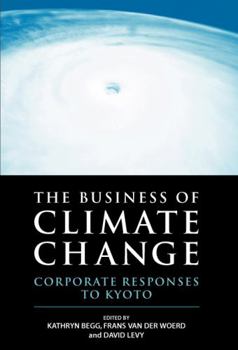 Hardcover The Business of Climate Change: Corporate Responses to Kyoto Book