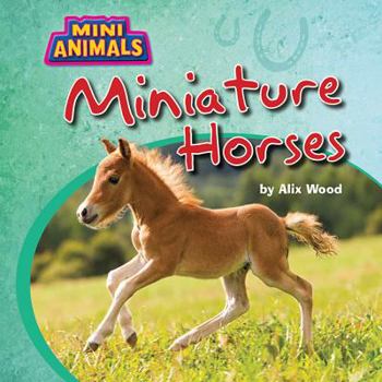 Miniature Horses - Book  of the Mini Animals