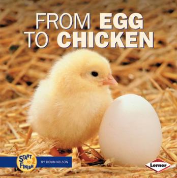 Hardcover From Egg to Chicken Book