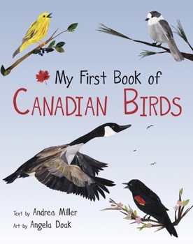 Paperback My First Book of Canadian Birds Book