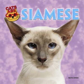 Paperback Siamese Book