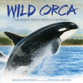 Hardcover Wild Orca: The Oldest, Wisest Whale in the World Book