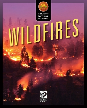 Paperback Wildfires Book