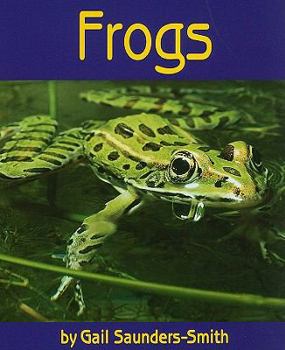 Paperback Frogs (Rise and Shine) Book