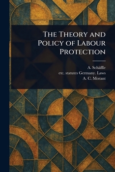Paperback The Theory and Policy of Labour Protection Book