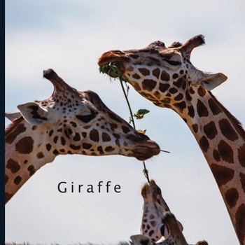 Giraffe: 2021 - 2022 18 Month Calendar | Monthly Photo Calendar | July 2021 - December 2022 | Monthly Calendar with U.S./UK/ Canadian/Christian/Jewish/Muslim Holidays | Giraffe Calendar