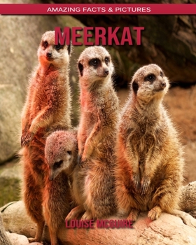 Meerkat: Amazing Facts & Pictures