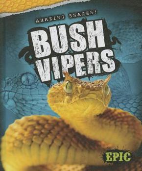 Bush Vipers - Book  of the Amazing Snakes!