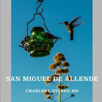 Paperback San Miguel de Allende Book