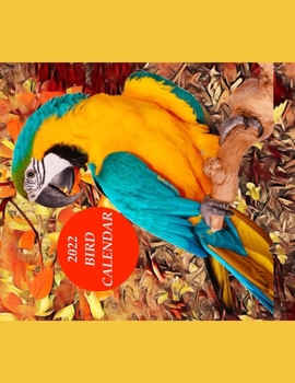 Paperback 2022 Bird Calendar Book