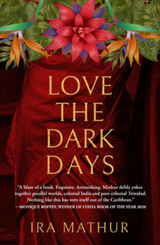 Paperback Love the Dark Days Book