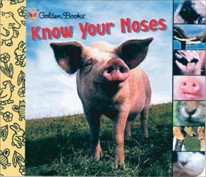 Board book Know Your Noses Book