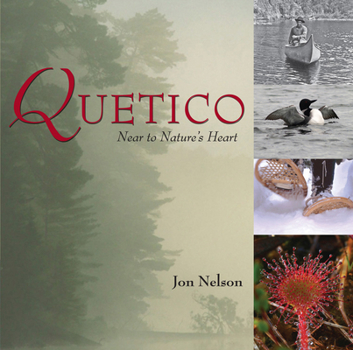 Paperback Quetico: Near to Nature's Heart Book