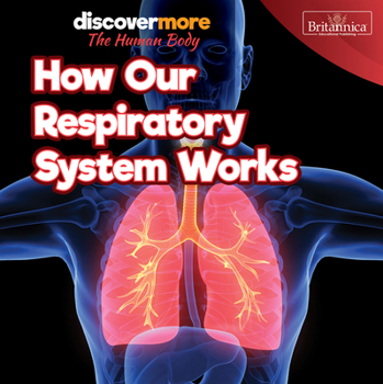 Paperback How Our Respiratory System Works Book