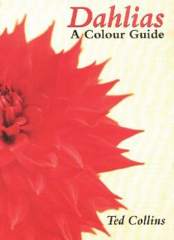 Hardcover Dahlias: A Colour Guide Book