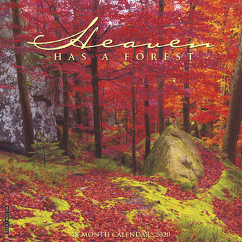 Calendar Heaven Has a Forest 2020 Wall Calendar Book